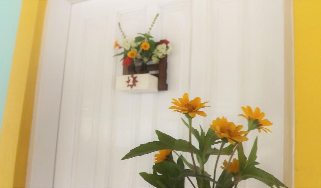 Pousada Flores De ボンビーニャス エクステリア 写真