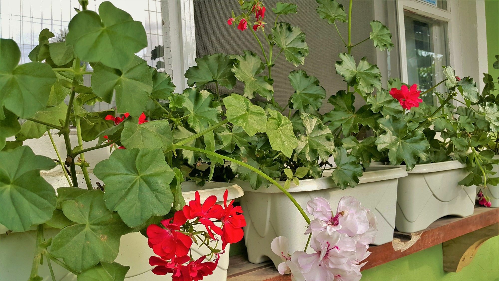 Pousada Flores De ボンビーニャス エクステリア 写真